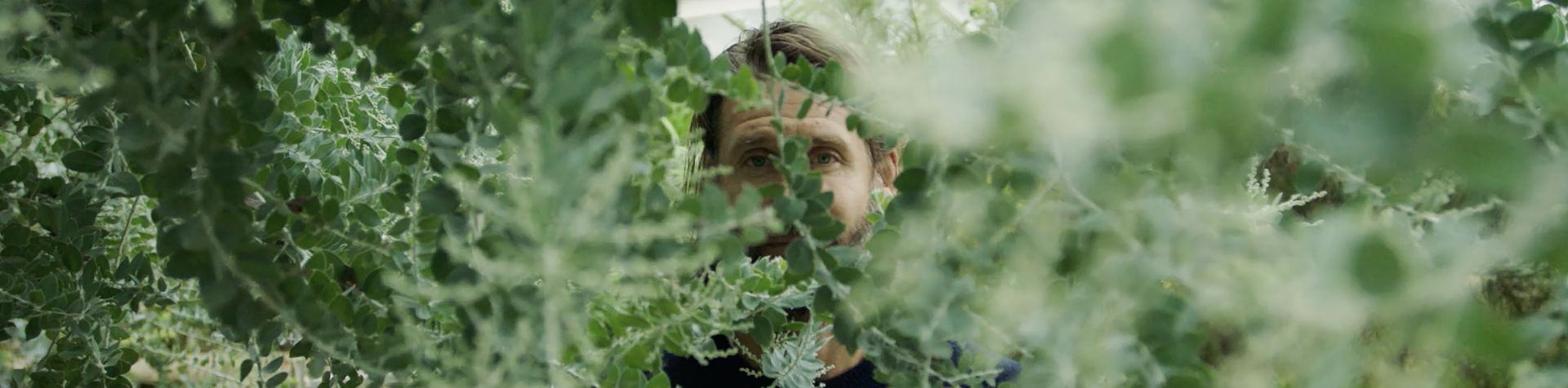 David de Rothschild standing behind some green foliage. He has long brown hair and a beard and is looking straight into the camera