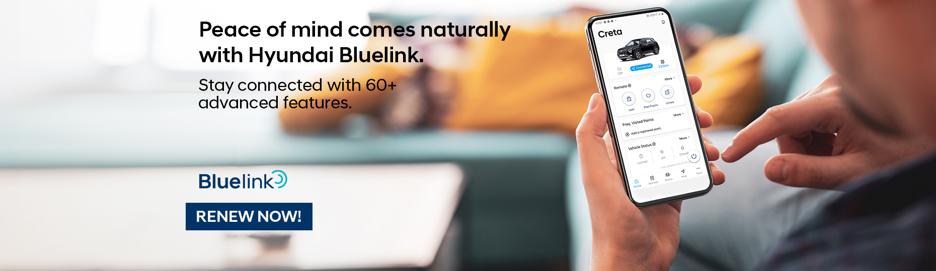 bluelink subscription