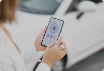 Hyundai Bluelink Vehicle Alarm Notification