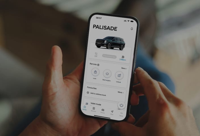 Hyundai Bluelink Vehicle Status