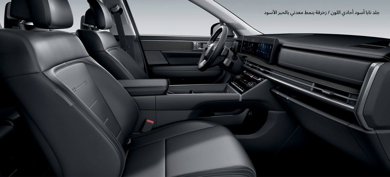 Black Monotone Nappa Leather