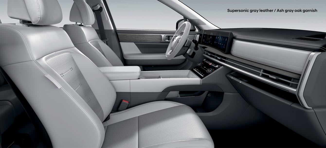 Supersonic Ray Leather