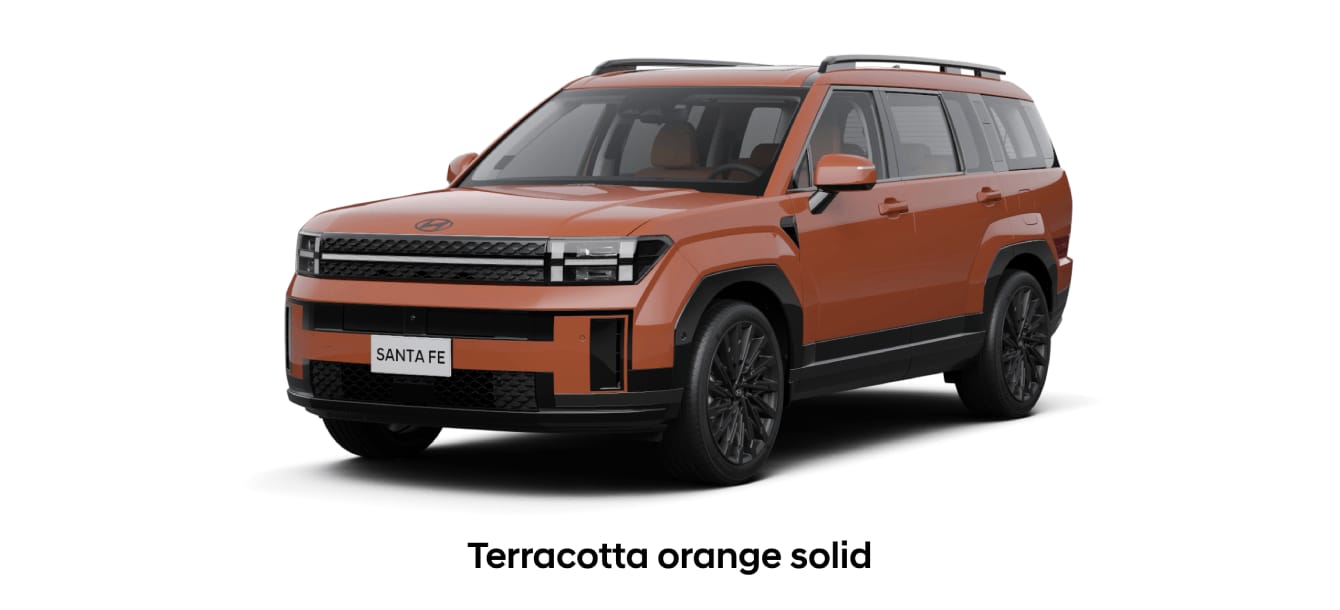 Terracotta Orange Solid