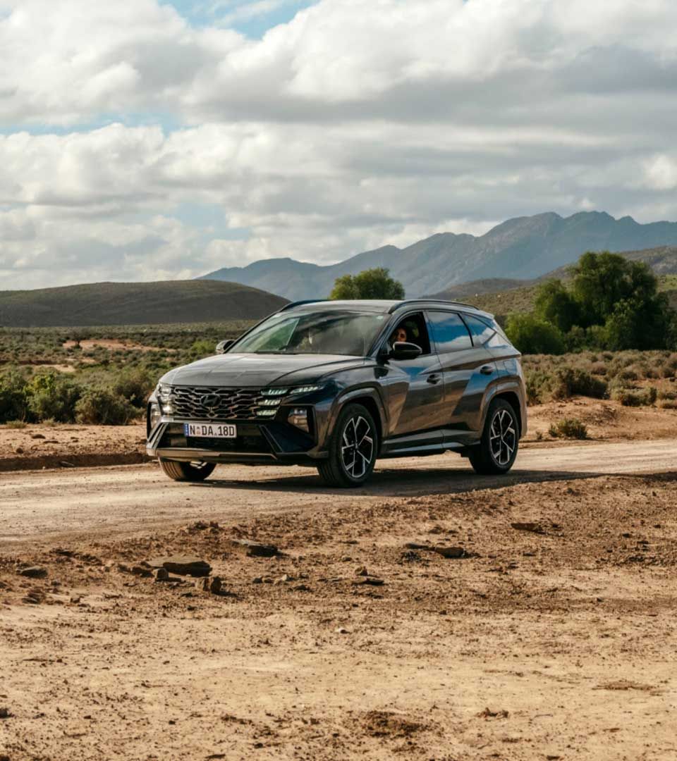Hyundai TUCSON Hybrid against a scenic background