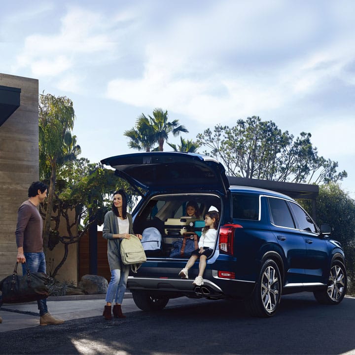 Hyundai_Palisade_LX2-iCare_720x720.jpg
