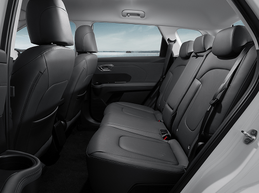 Interior view looking into the spacious back row of the Hyundai ELEXIO, showcasing the premium dark leather 60/40 split-folding rear passenger seats with a view of the water out the window.