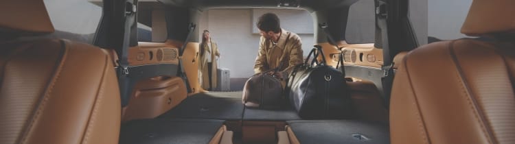PALISADE_LX3_rear-cargo-area.jpg