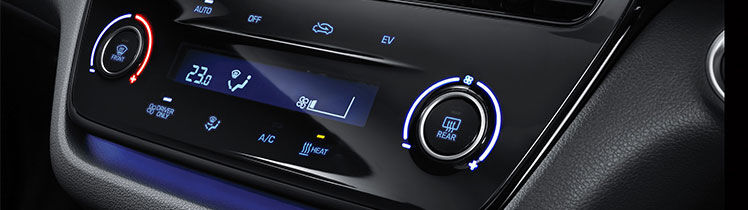 Hyundai_IONIQ_EV_DRIVER_ONLY_CLIMATE_CONTROL_748x210.jpg
