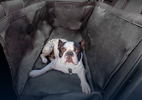 Hyundai_Sonata_N_Line_Rear-seat-pet-cover_285x200.jpg