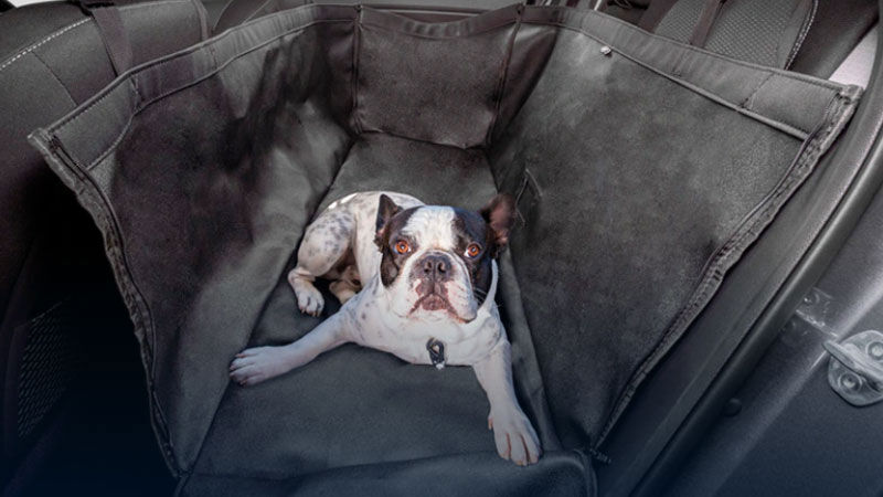 Hyundai_Sonata_N_Line_Rear-seat-pet-cover_800x450.jpg