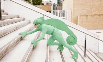 Chameleon.