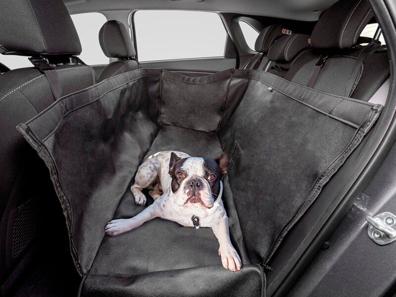 hyundai_accessories_rearpetcover_800x600.jpg