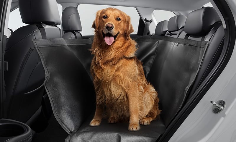 HYUNDAI_ACCESSORIES_ELEXIO_PetSeat_Cover_800x480.jpg