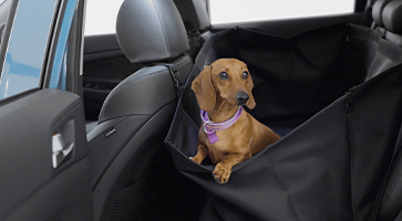 HYUNDAI_ACCESSORIES_N_i20_Rear-Pet-Seat-Cover-363x200px.png