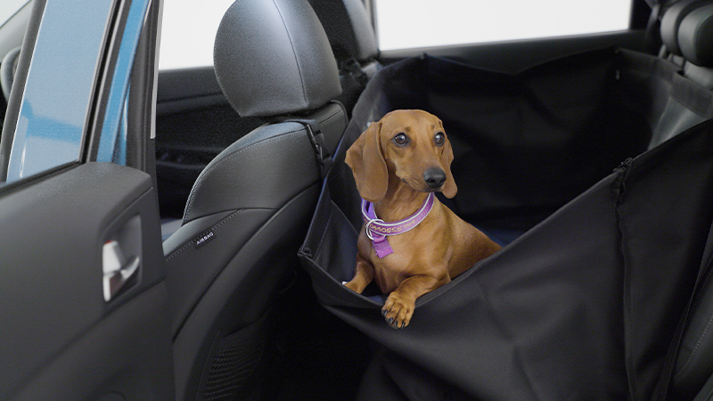 HYUNDAI_ACCESSORIES_N_i20_Rear-Pet-Seat-Cover-800x450px.png