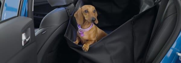 Hyundai_Accessories_Masonry_Rearseat_Pet_Cover_600x210.jpg