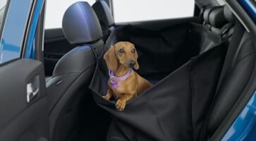 Hyundai_Accessories_Rearseat_Pet_Cover_363x200.jpg