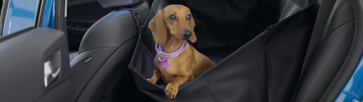 Hyundai_Accessories_Rearseat_Pet_Cover_748x210.jpg