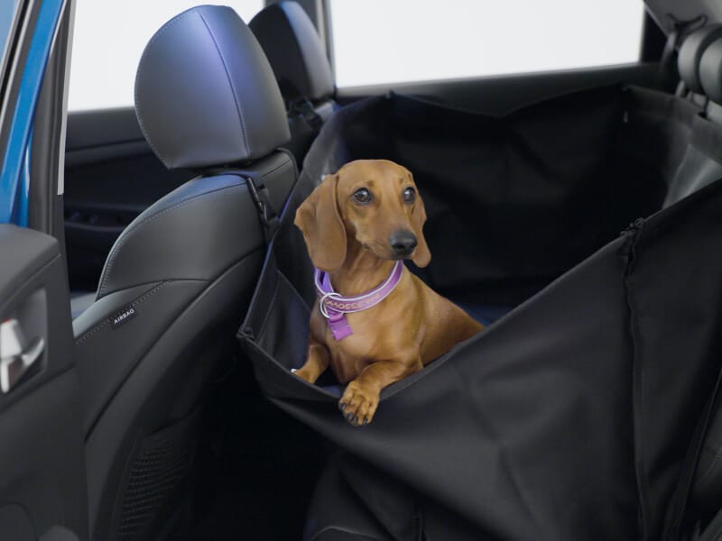 Hyundai_Accessories_Rearseat_Pet_Cover_800x600.jpg