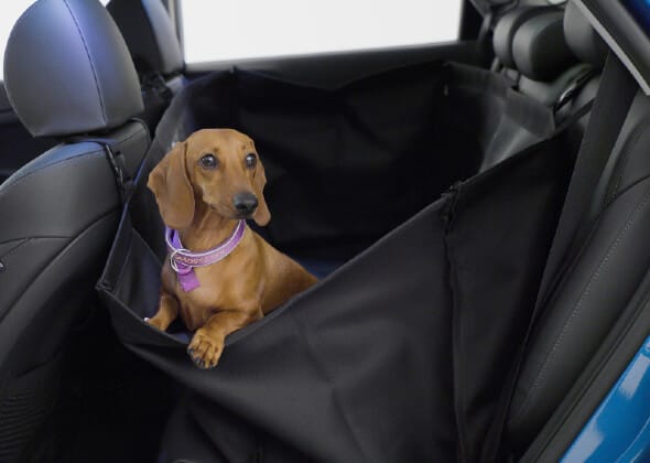 Hyundai_Accessories_Rearseat_Pet_Cover_590x420.jpg