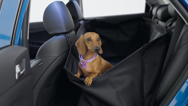 Hyundai_Accessories_Rearseat_Pet_Cover_800x450.jpg