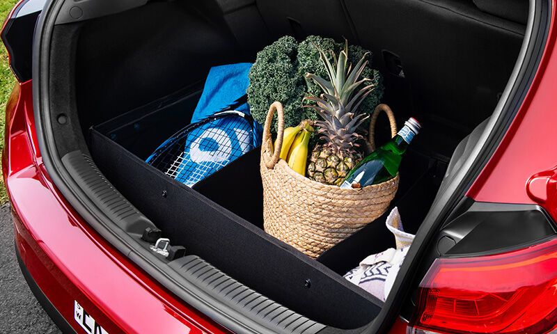 HYUNDAI_ACCESSORIES_i30_N_Line_Luxury_Cargo_Organiser_800x480.jpg