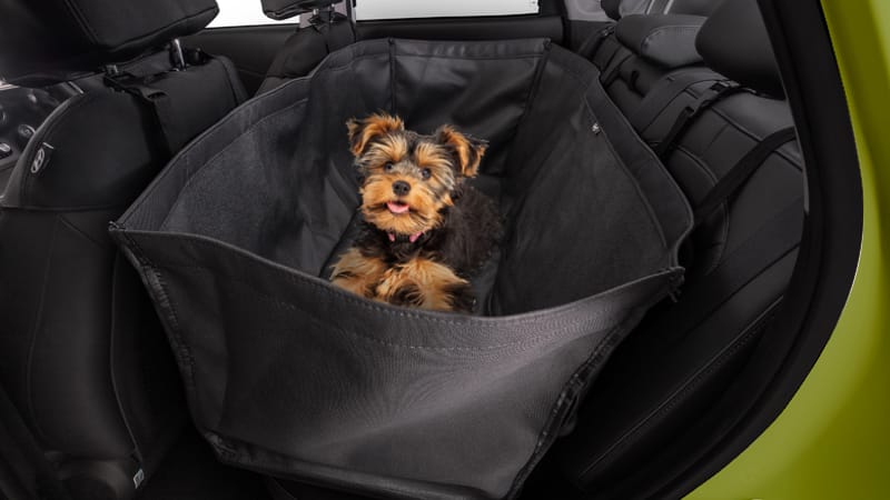 Hyundai_PetCover_800x450.jpg