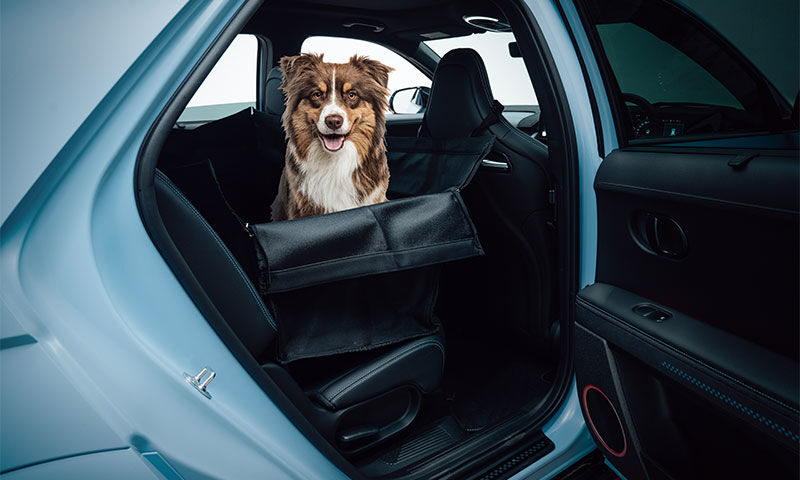 Hyundai IONIQ 5 N Accessories Hyundai Australia
