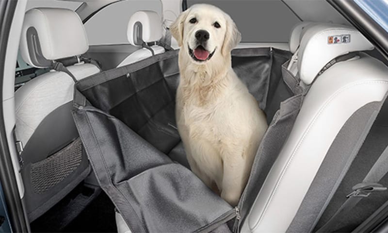 HYUNDAI_ACCESSORIES_IONIQ_5_NE_Seat_Pet_Cover_800x480.jpg