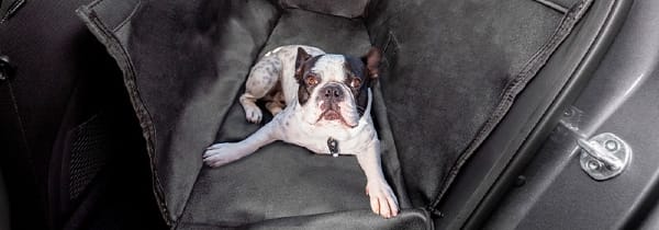 Hyundai_Tucson_Accessories_Rear_seat_Pet_cover_600x210.jpg