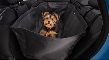 Hyundai_Kona_Accessories_Pet_Cover_363x200.jpg