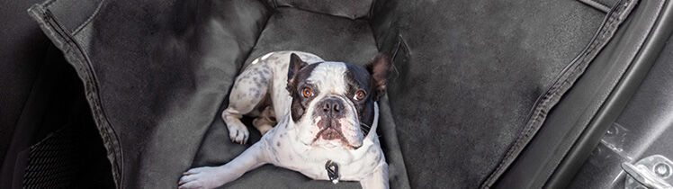rearpetcover_748x210.jpg