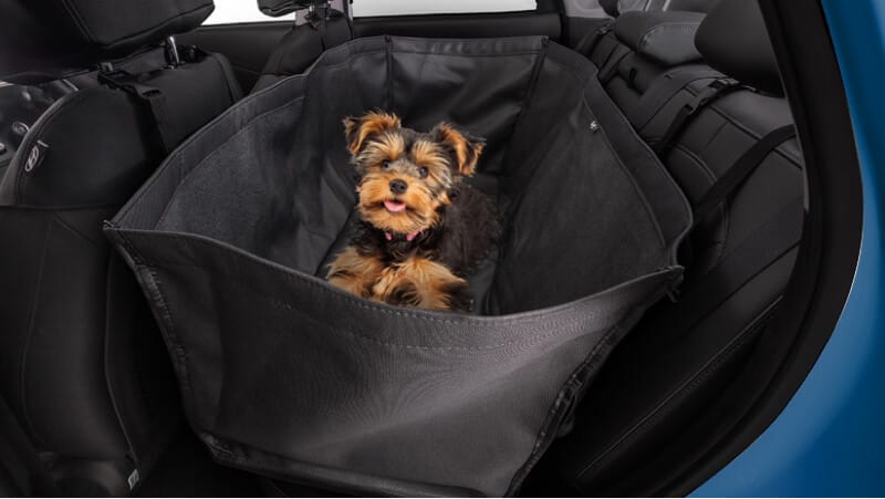 Hyundai_Kona_Accessories_Pet_Cover_800x450.jpg