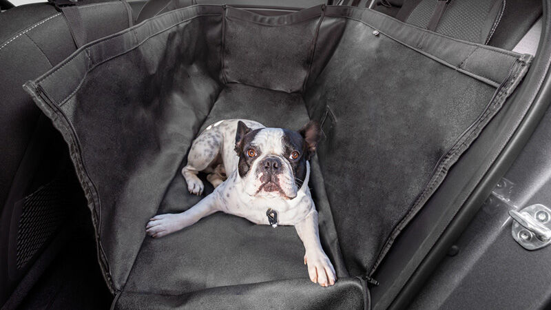 rearpetcover_800x450.jpg