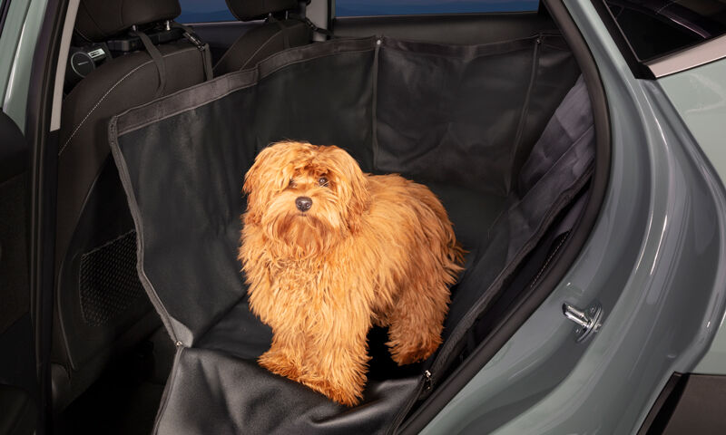 Car seat covers hotsell for hyundai kona