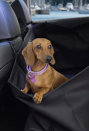 285x420_0026_generic-rear-petseat-cover.jpg