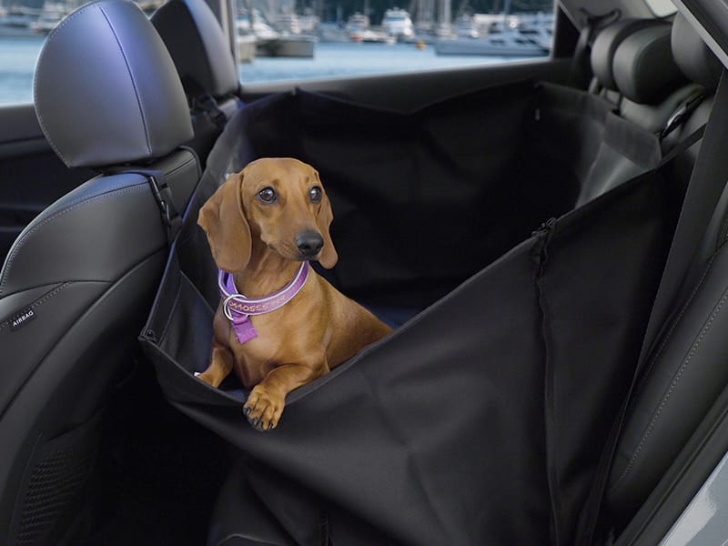 800x600_0026_generic-rear-petseat-cover.jpg