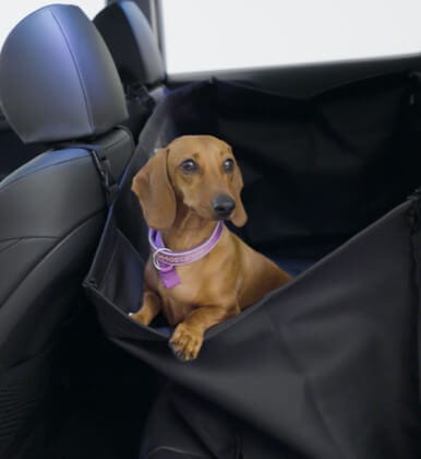 Hyundai_Accessories_Rearseat_Pet_Cover_386x420.jpg
