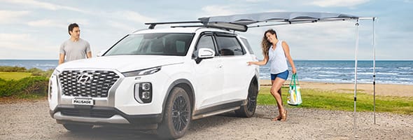 HyundaiAccessories_Palisade_LX2_side-awning_590x200.jpg