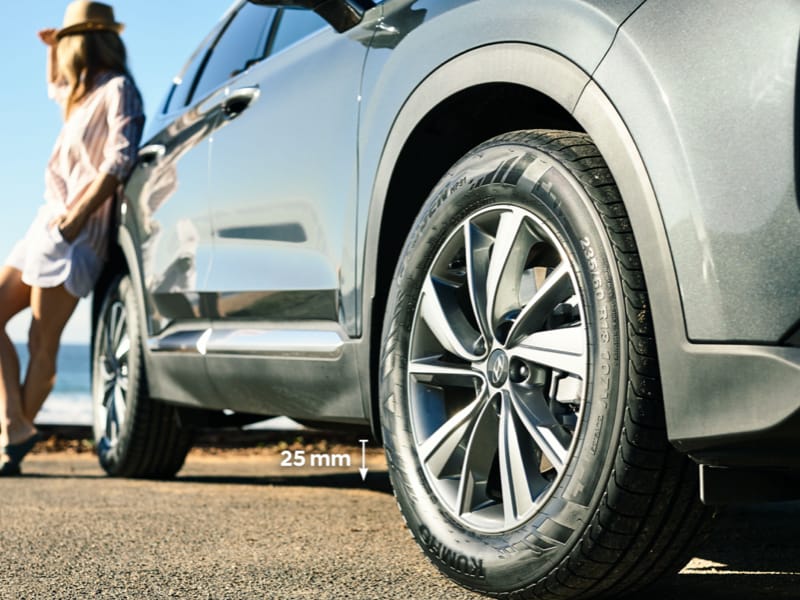 Hyundai_Accessories_Masonry_Santa-Fe-Sports-Styling-Lowering-Spring-Kit_800x600.jpg