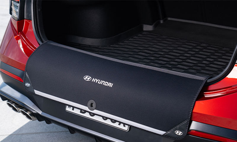 Hyundai santa fe hotsell rear bumper protector