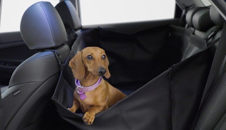 Hyundai_Accessories_Masonry_Rearseat_Pet_Cover_748x430.jpg