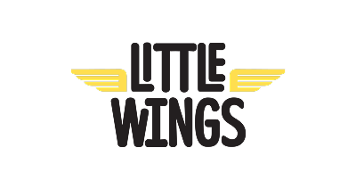 Hyundai help for kids partner Little wings logo