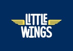 Hyundai_HHFK_Little_wings_286x200.jpg
