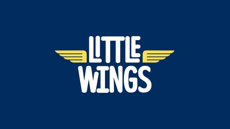 Hyundai_HHFK_Little_wings_800x450.jpg