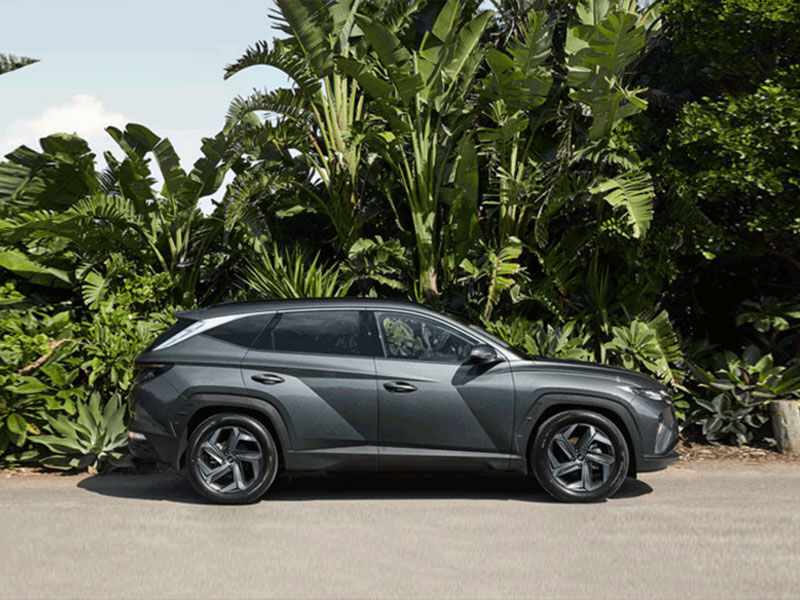 hyundai_road_trip_easter_father_back_car