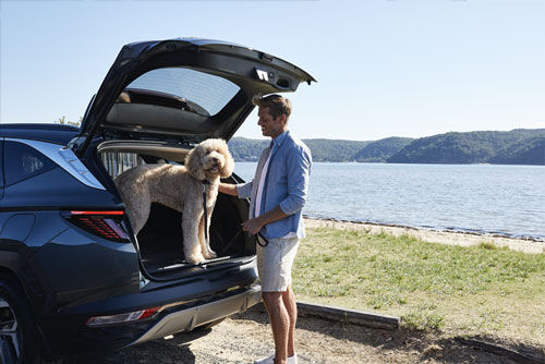 hyundai_road_trip_easter_father_500x334.jpg