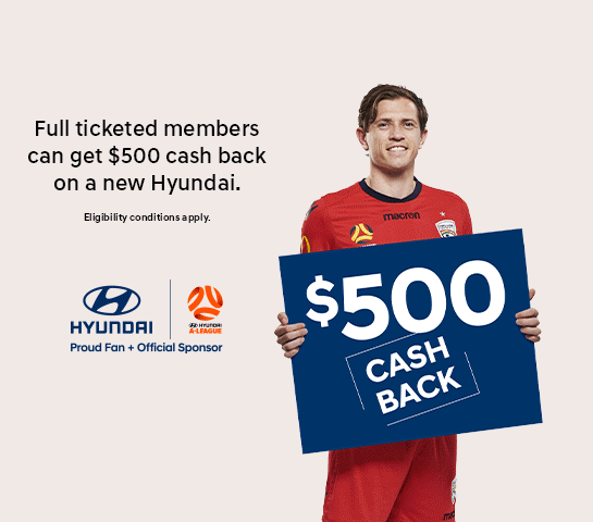 Hyundai_Member_Cashback_JPEG_545x480_CLUB_04.gif