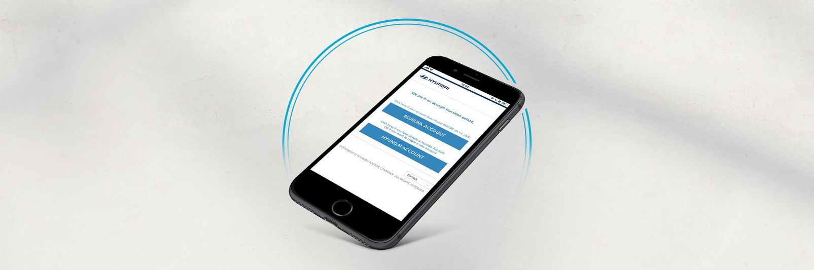 Detalles sobre la cuenta bluelink