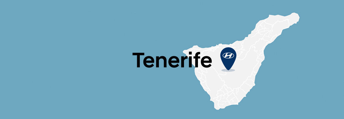 Concesionarios Tenerife